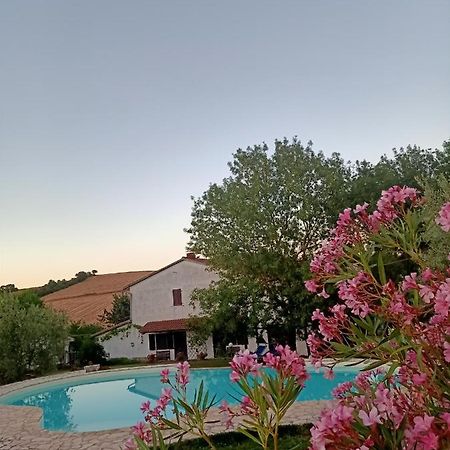 Agriturismo La Locandiera モンテメラノ エクステリア 写真