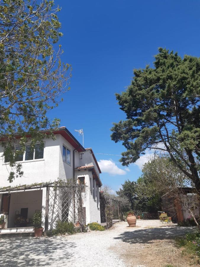 Agriturismo La Locandiera モンテメラノ エクステリア 写真