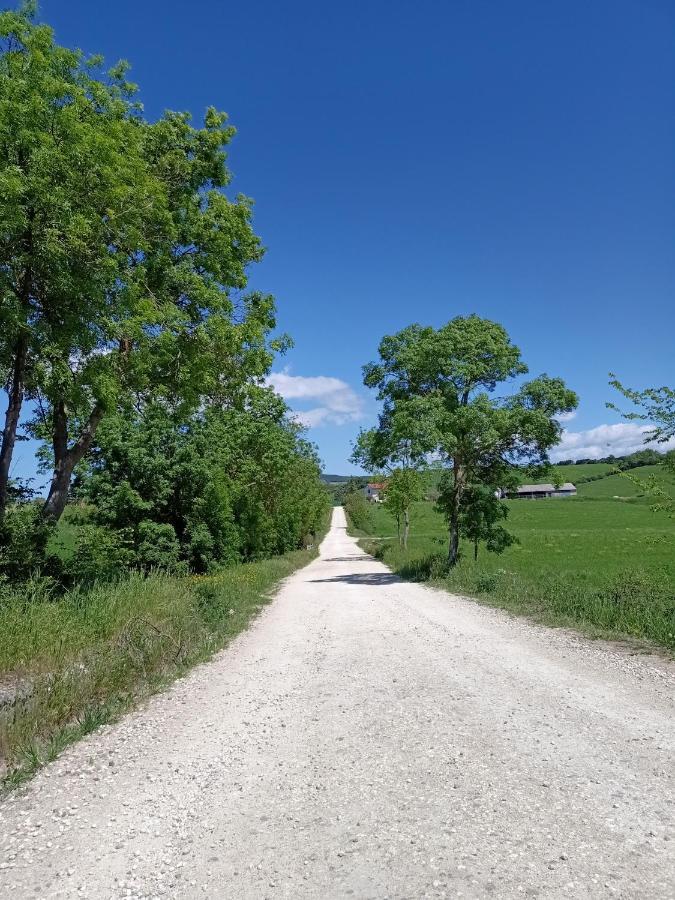 Agriturismo La Locandiera モンテメラノ エクステリア 写真