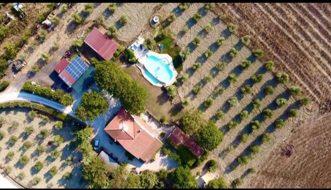 Agriturismo La Locandiera モンテメラノ エクステリア 写真