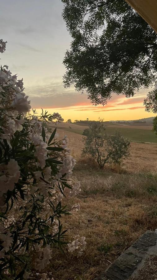 Agriturismo La Locandiera モンテメラノ エクステリア 写真