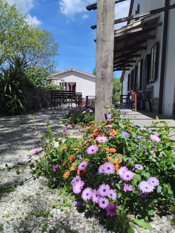 Agriturismo La Locandiera モンテメラノ エクステリア 写真