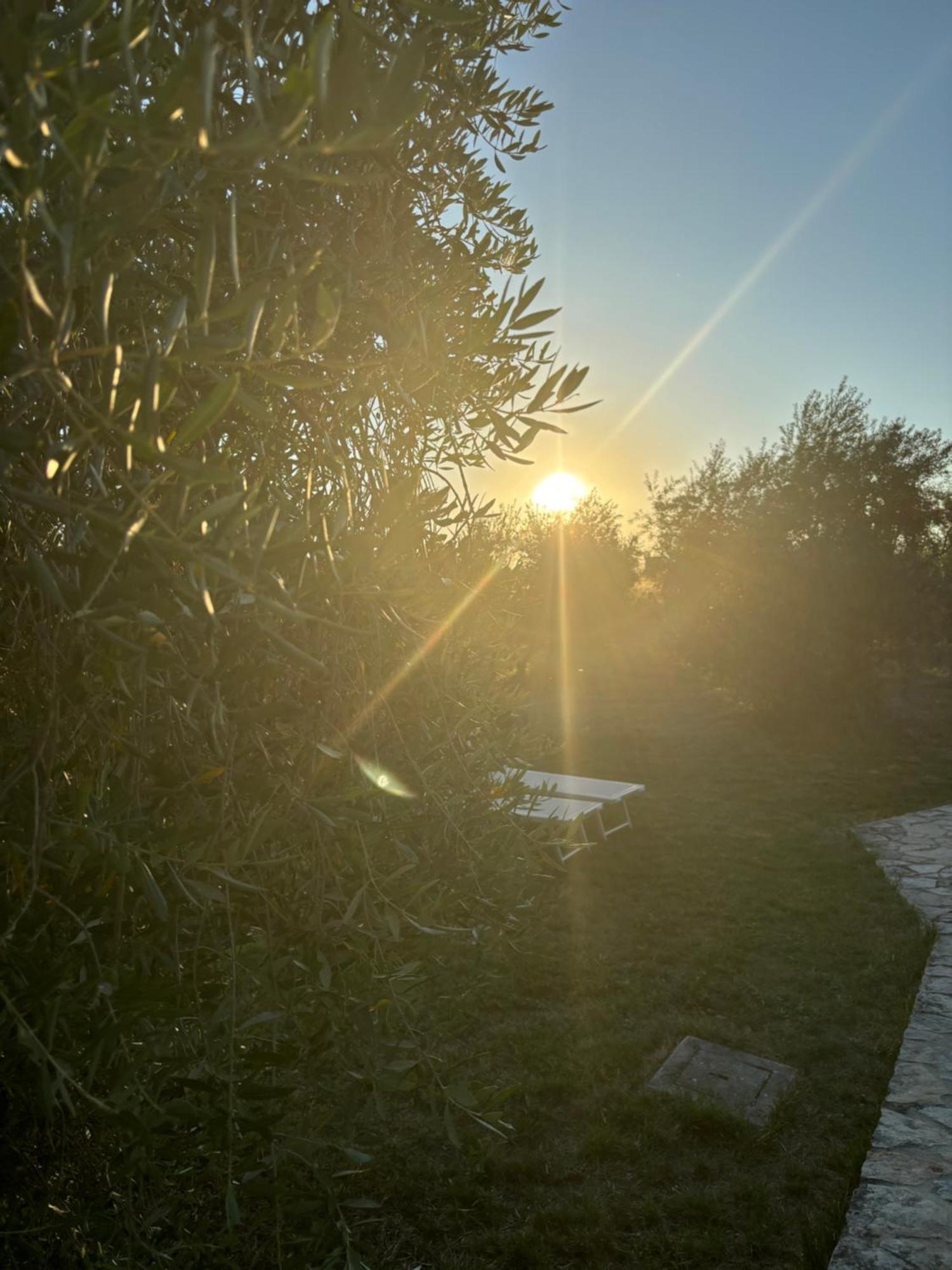 Agriturismo La Locandiera モンテメラノ エクステリア 写真